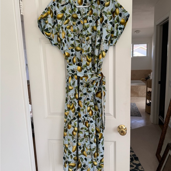 Zara Lemon and Leaf Print Dress - Maxi - Picture 2 of 4